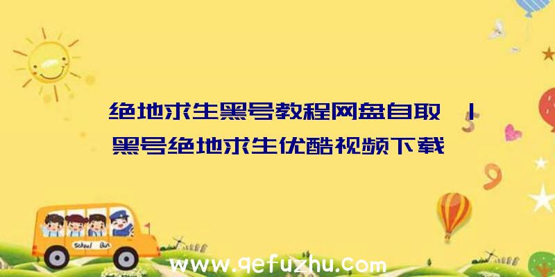 「绝地求生黑号教程网盘自取」|黑号绝地求生优酷视频下载